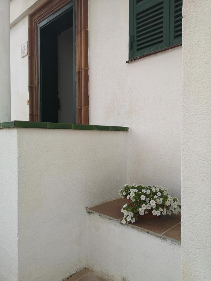 Toni'S Apartament Menorca Cala en Bosch Kültér fotó